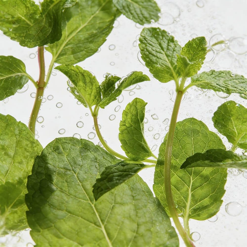 Peptide Peppermint Deodorant